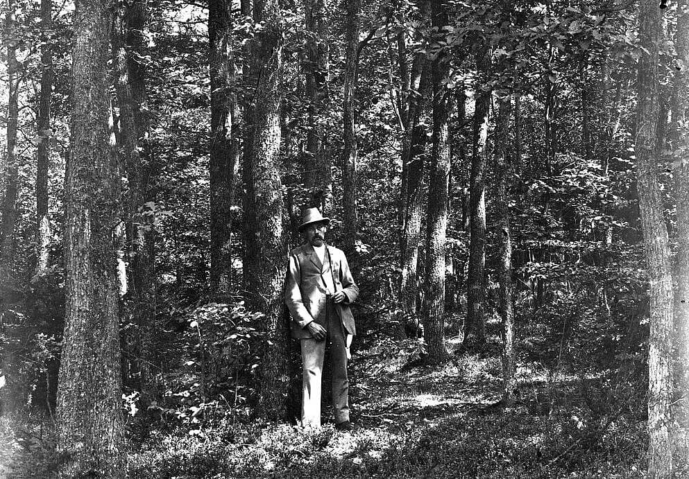 Friedrich Wilhelm Bäcker (1858-1940):
Mann im Wald,
Siegerland, Anfang des 20. Jh.
© Siegerlandmuseum Friedrich Wilhelm Bäcker (1858-1940):
Mann im Wald,
Siegerland, Anfang des 20. Jh.
© Siegerlandmuseum